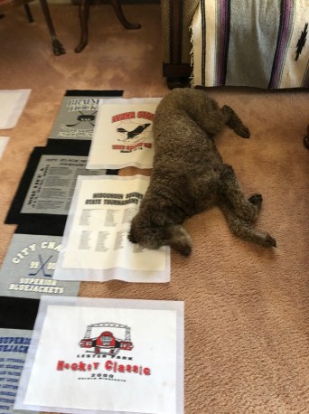 Cabela with Tim's Quilt